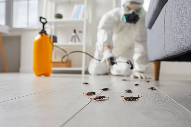 Commercial Kitchen Cockroach Control in Sturgis